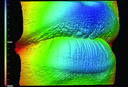 Color Height Maps