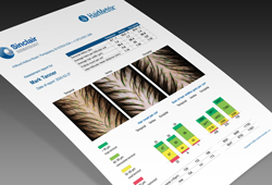 Customized Print Reports