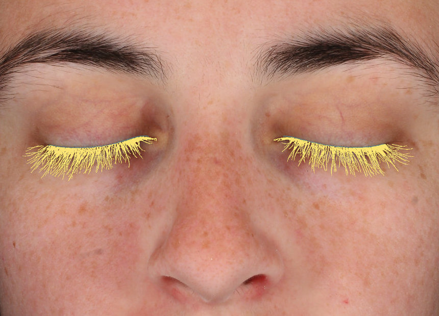 AI Driven Eyelash Analysis